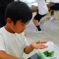 ３・４年　かいことの出会い