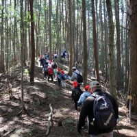低学年ふるさと登山