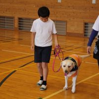 ドッグセラピー