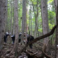 高学年ふるさと登山