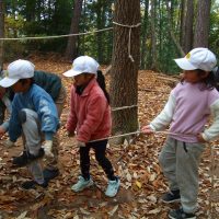 １年　morinos（モリノス）