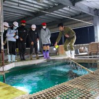 ５・６年　魚苗センター見学
