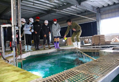 ５・６年　魚苗センター見学
